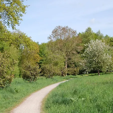 Ferienwohnung_beethovenstrasse Daire